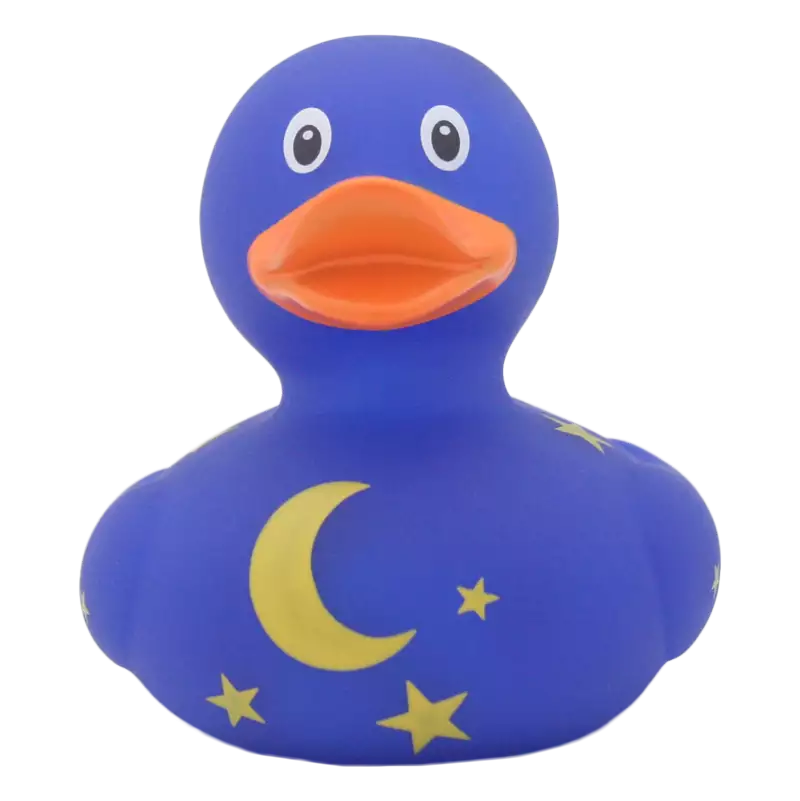 Duck with Moon and Stars