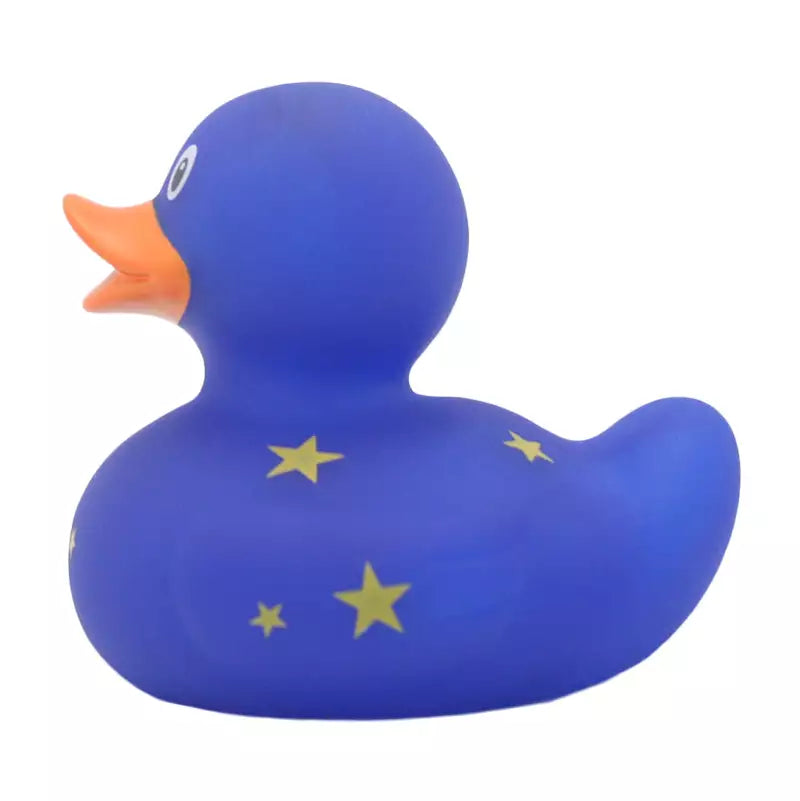 Duck with Moon and Stars