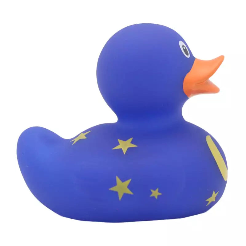 Duck with Moon and Stars