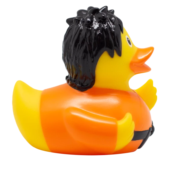 Kung Fu Rubber Duck