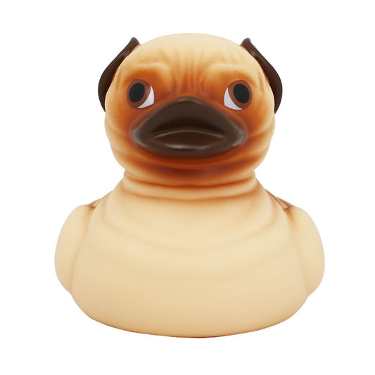 Pug Rubber Duck